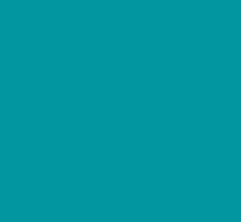 Load image into Gallery viewer, Turbo-Guard® SF
